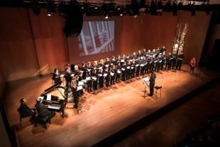 2019. Sant Esteve per la llibertat